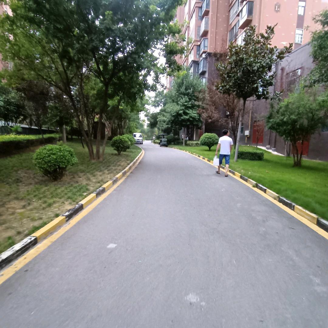 随缘