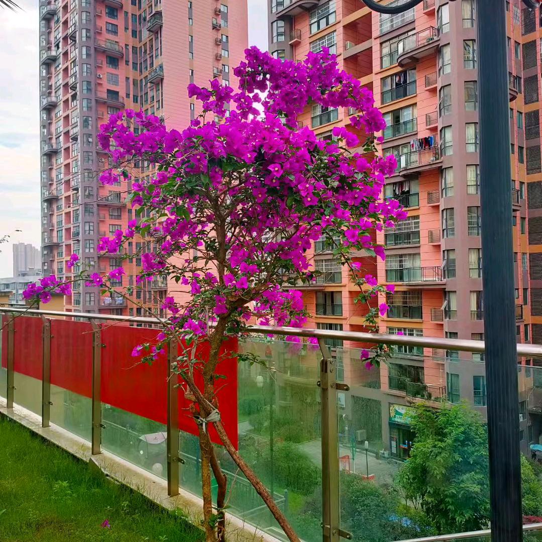 连续点赞拉黑，拒绝私聊