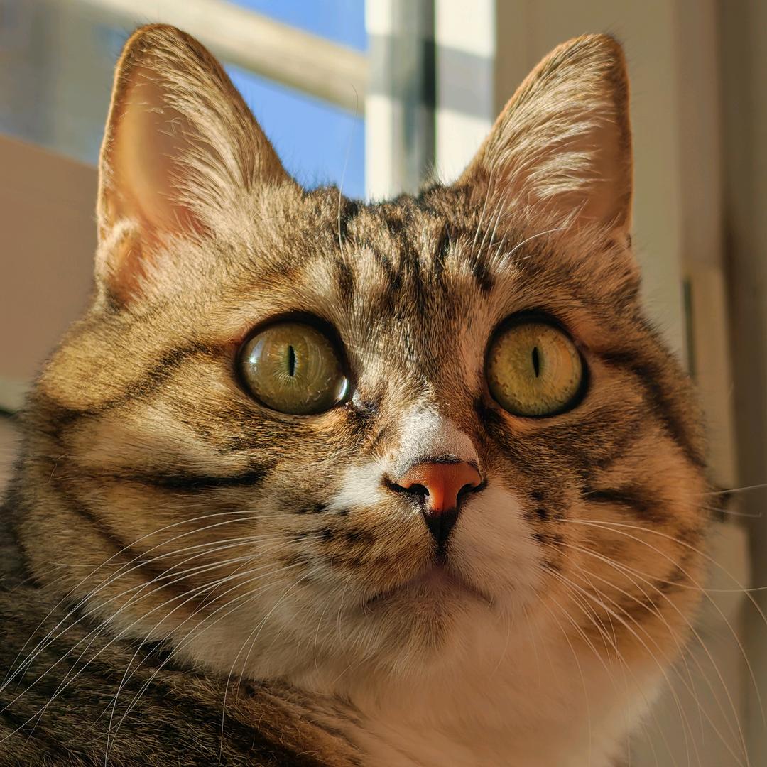 巨鹿县大潮粉丝福利号