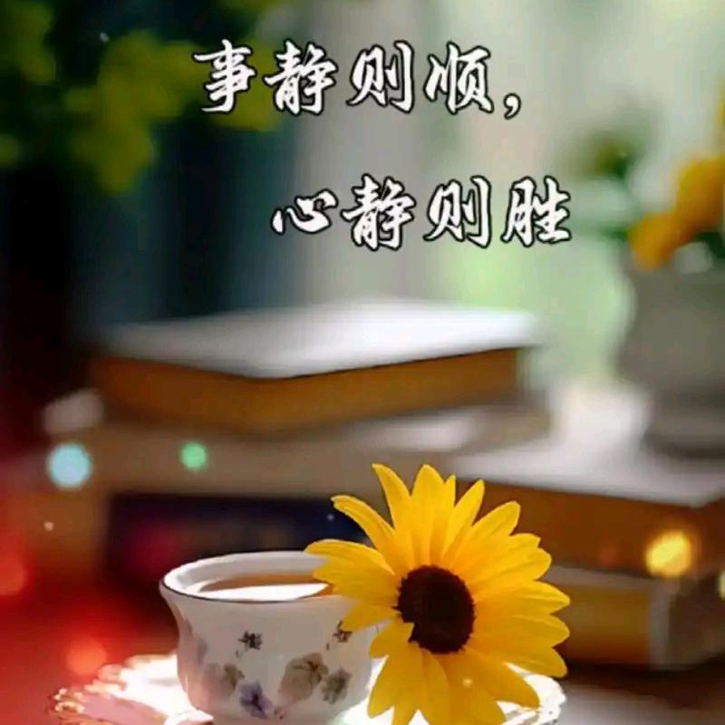 会长🚬🚬