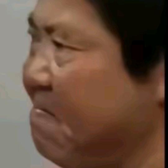 货拉拉拉不拉拉布拉多看拉布拉多拉得多不多