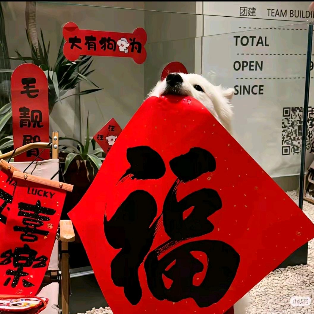 冬启新程🧣66