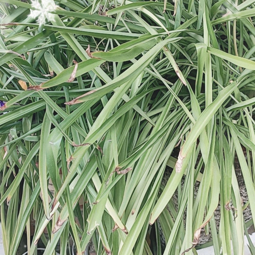 相聚（技术推广）