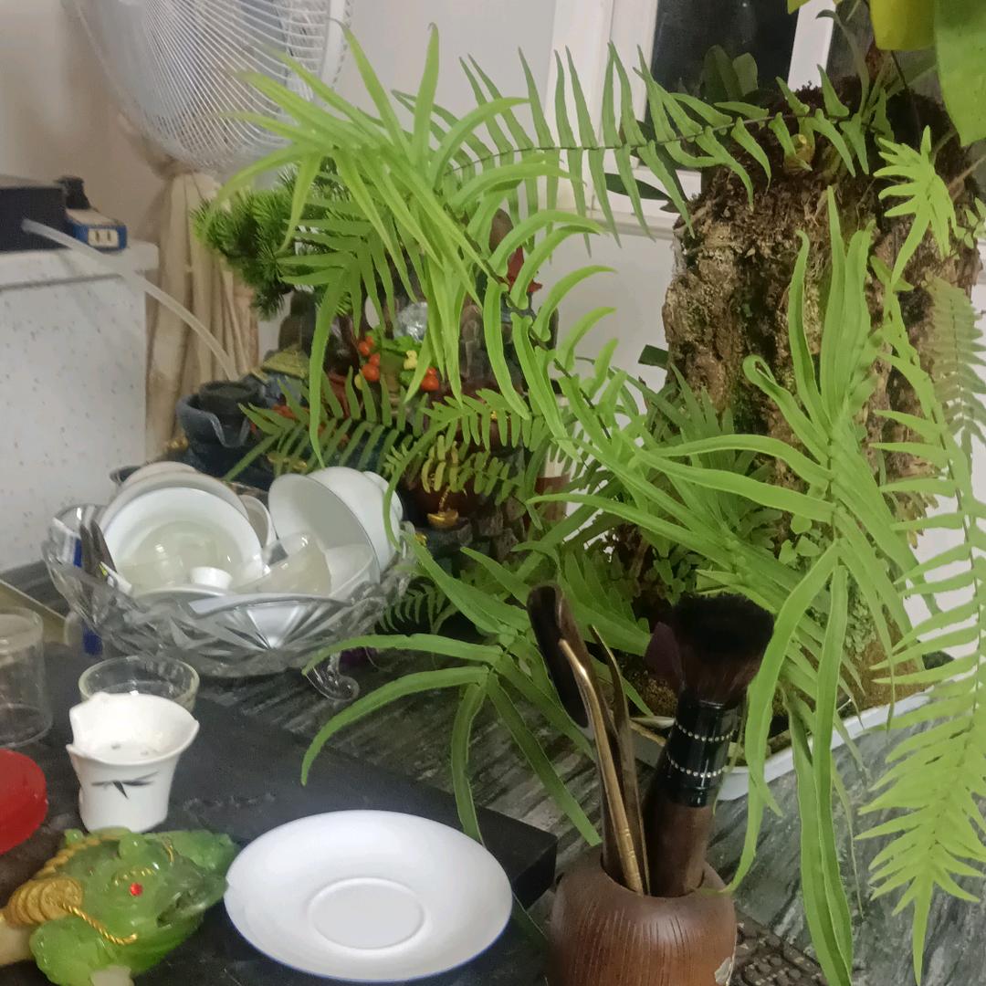 难忘的过去