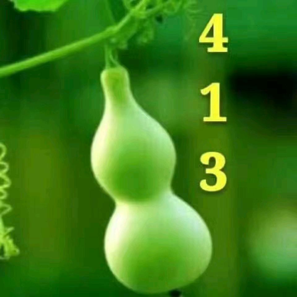 敬茹