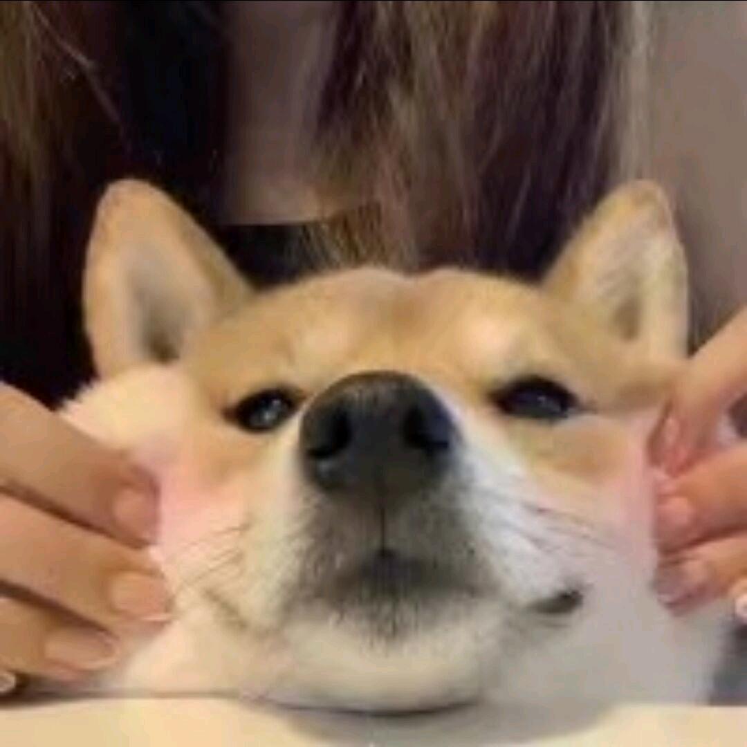 江南不与她