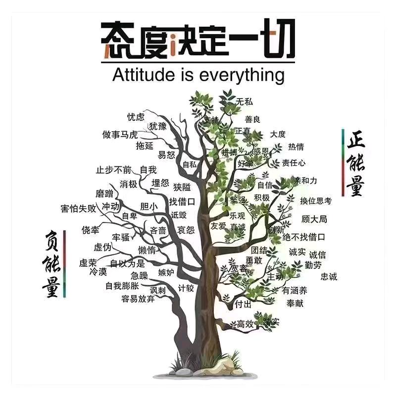 如无共鸣，沉默既安