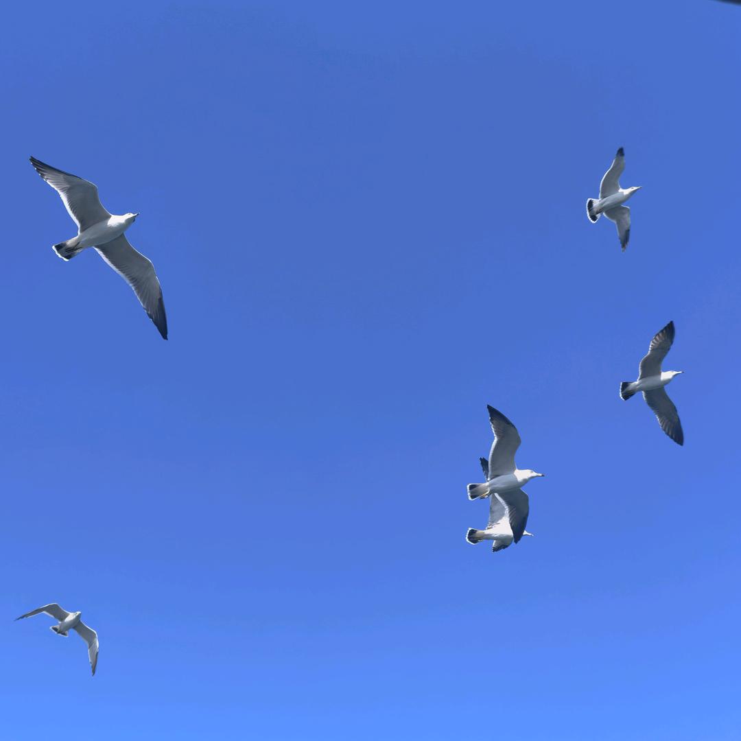 —都均
