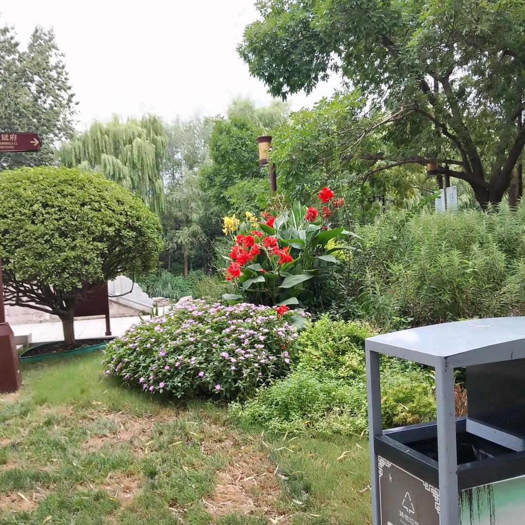 桂花姐姐的精品屋💓💓💓