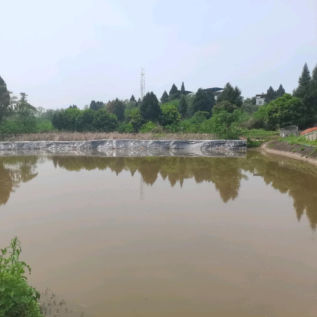 三步桥村农家院垂钓场