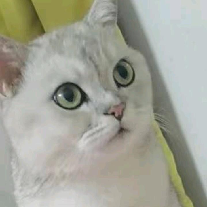 钧自然醒