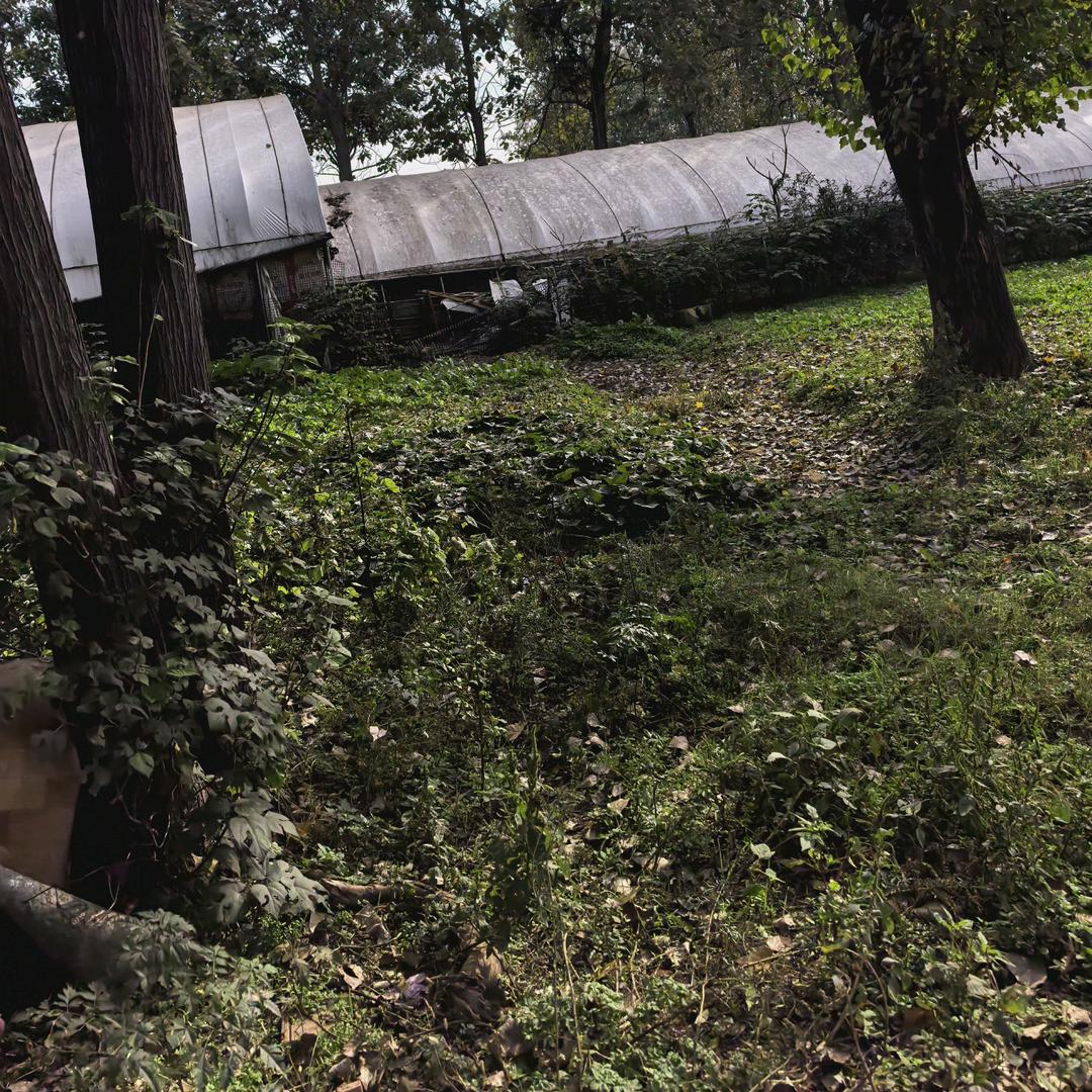 一生征战何人陪