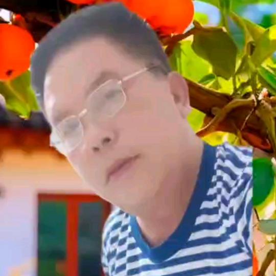 林南飞