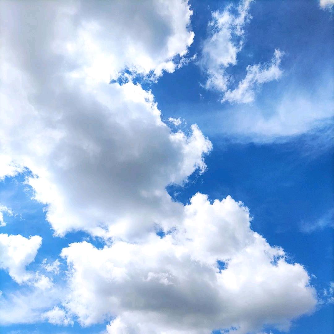 编写人生，织就未来