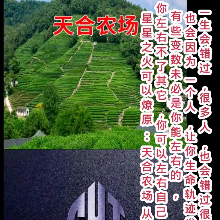 陈小天  858 天合农场市场部