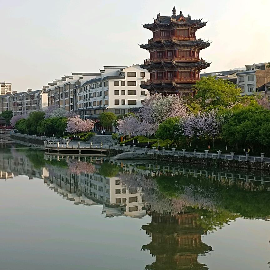 岁月争好