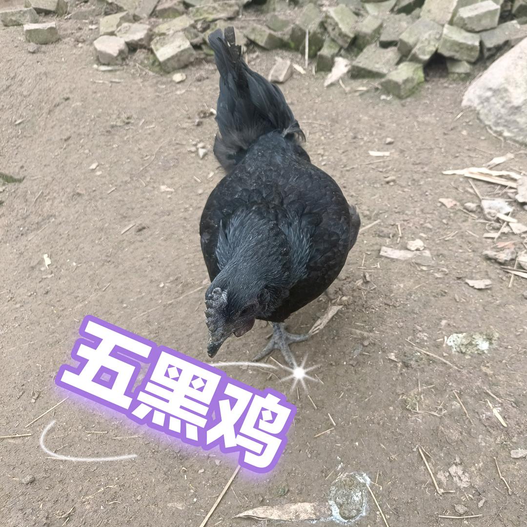 守望姐土货店