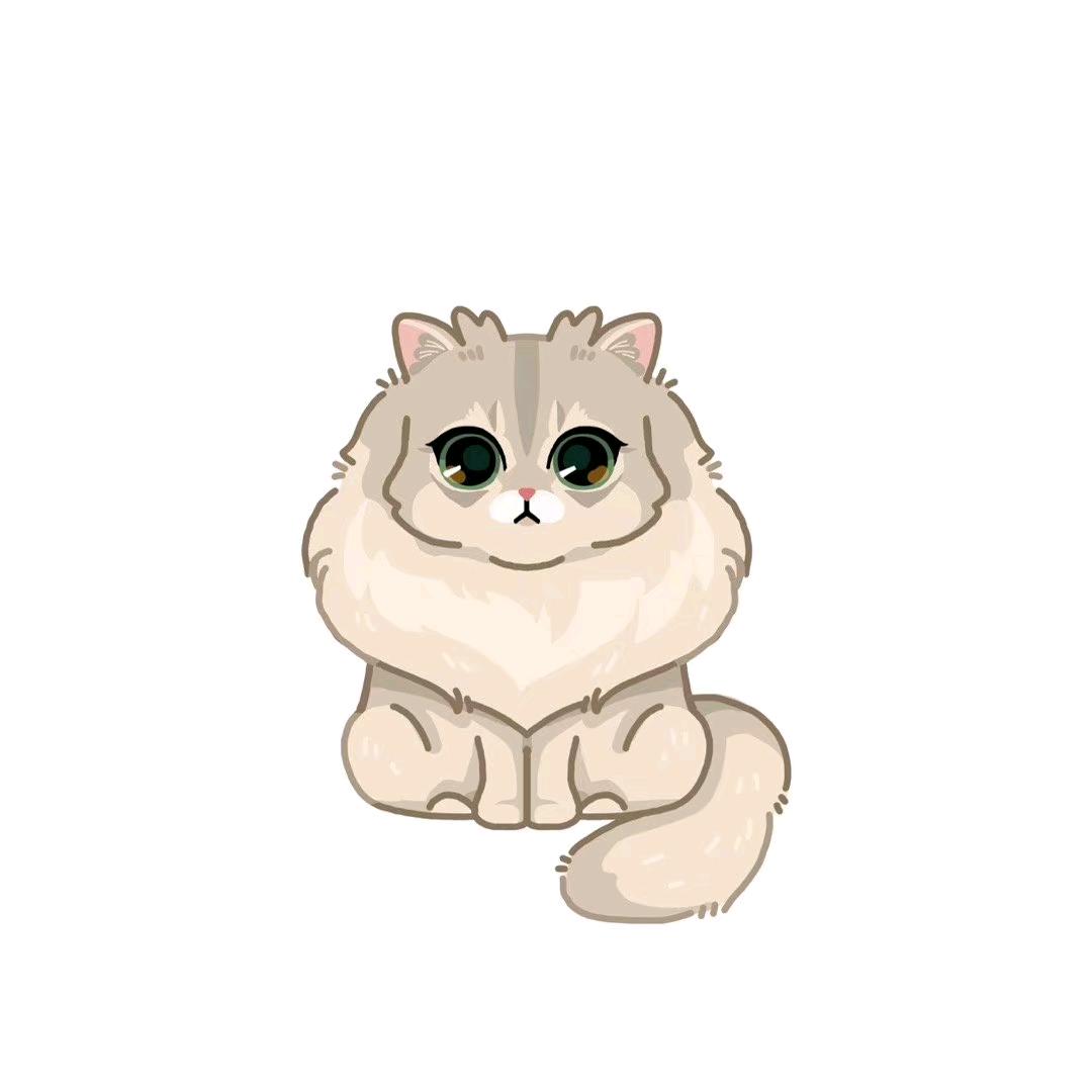 狂扇赵四半拉好嘴