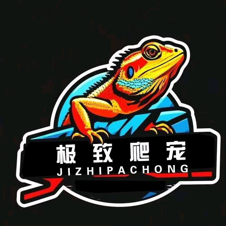 极致鬃狮蜥