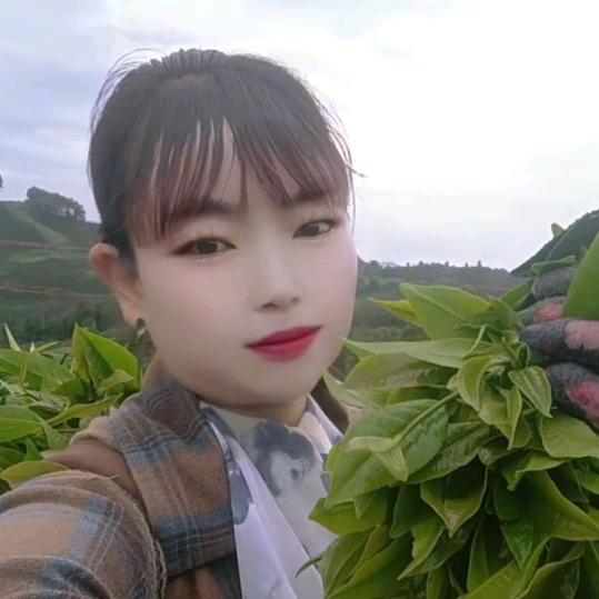 单身情妹