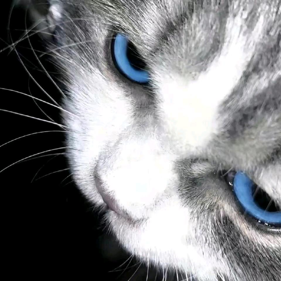 国家特级不保护废物.