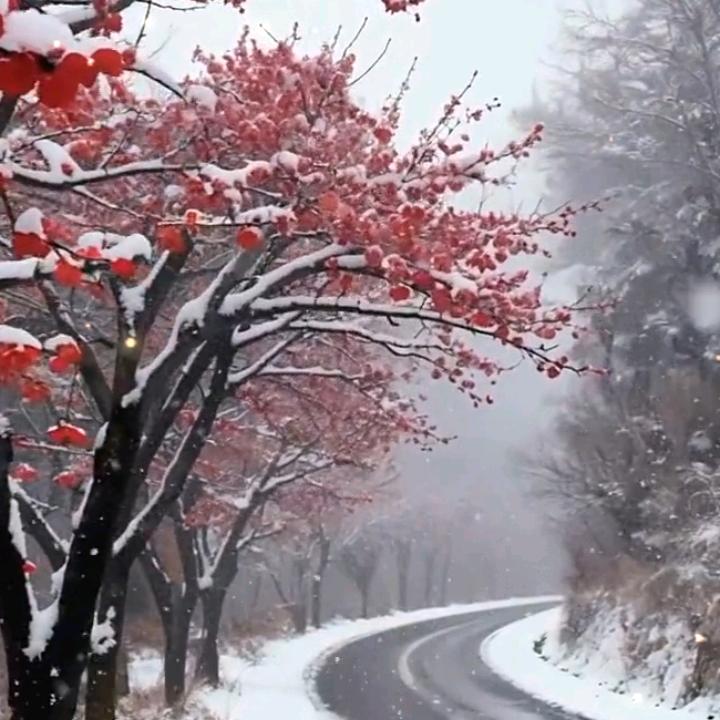 终究还是变成了过客