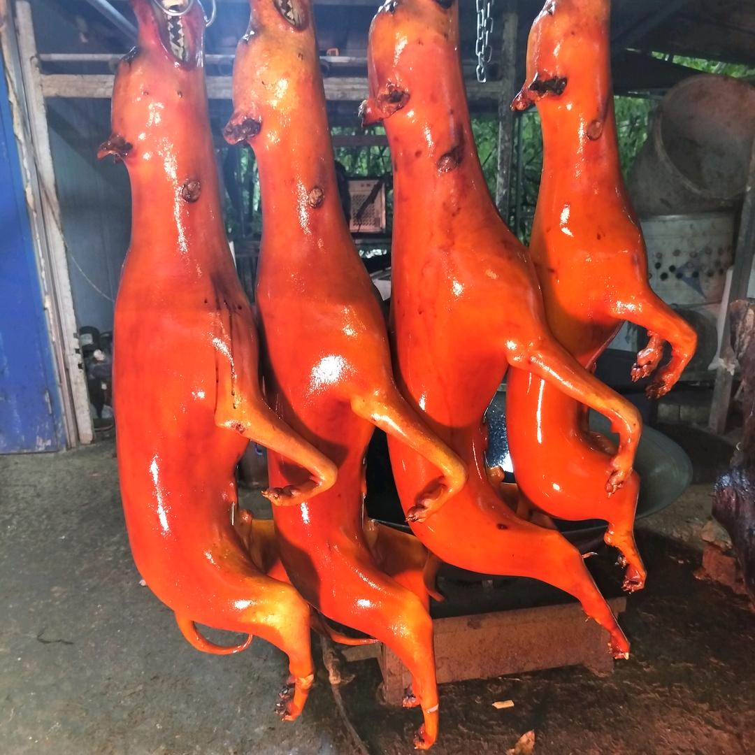 脆皮羊脆皮狗供应商