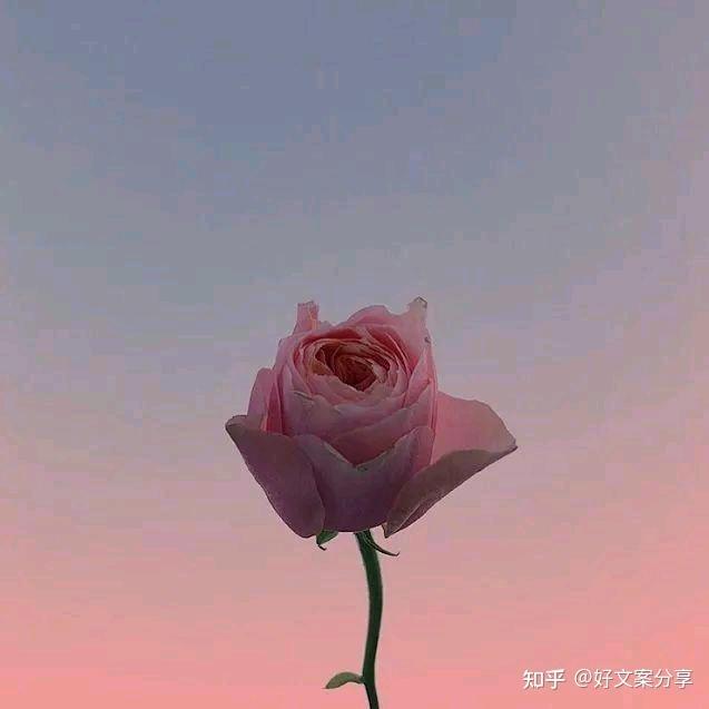 144748066