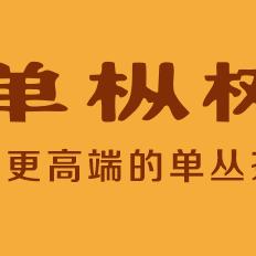 单枞树1497.8茶