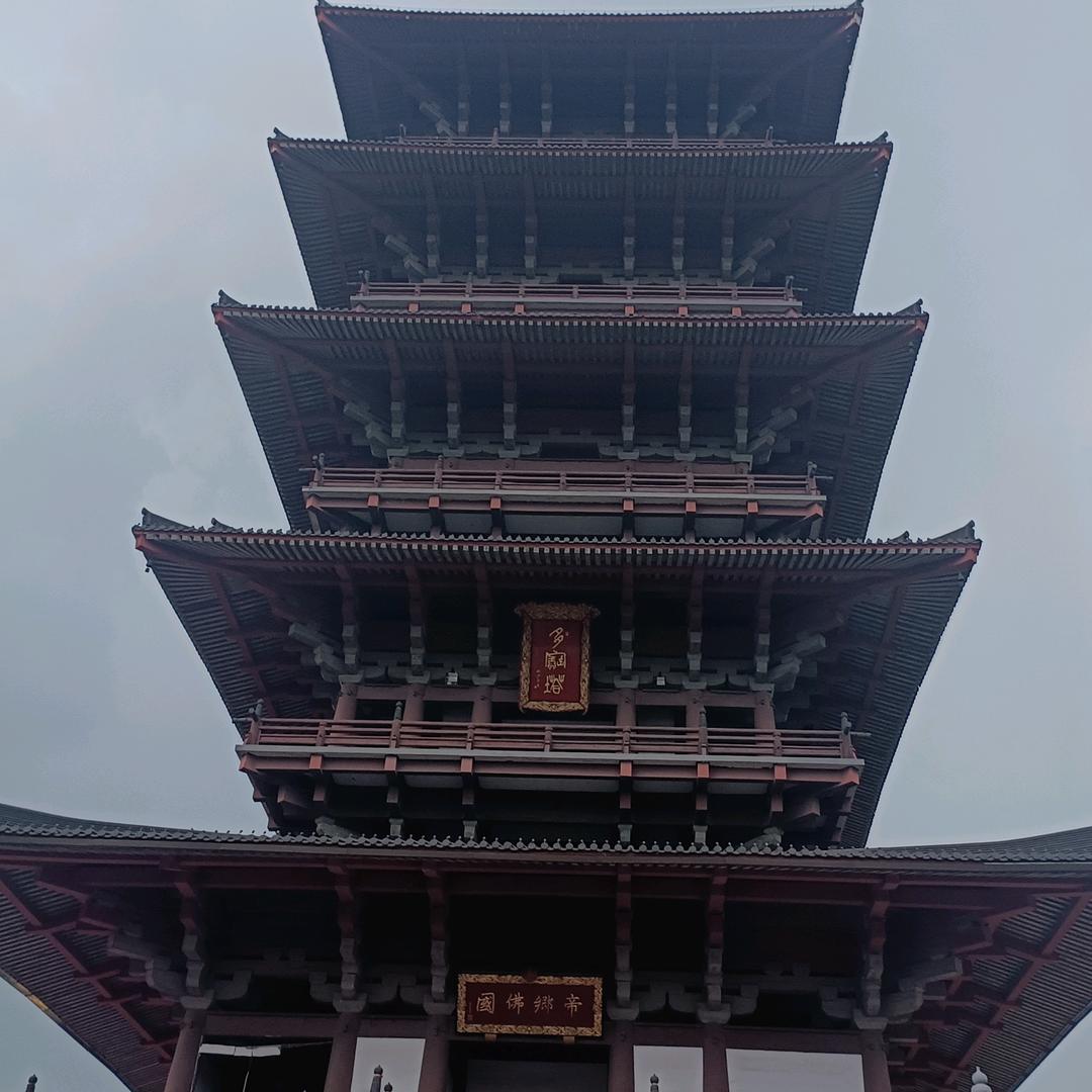 张伟士