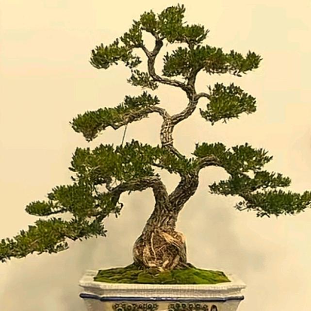 李让三分