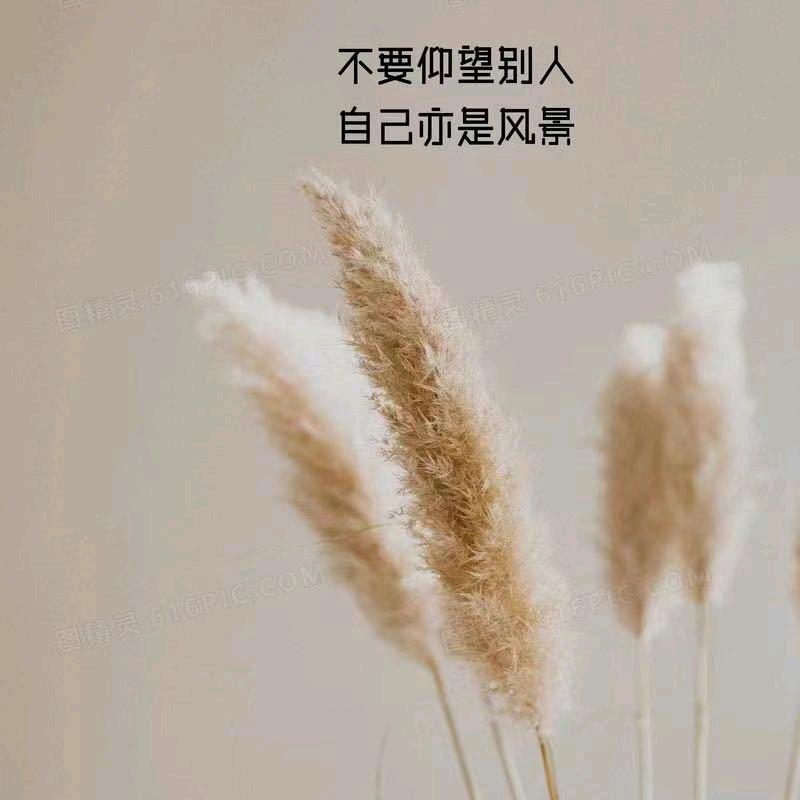 感悟
