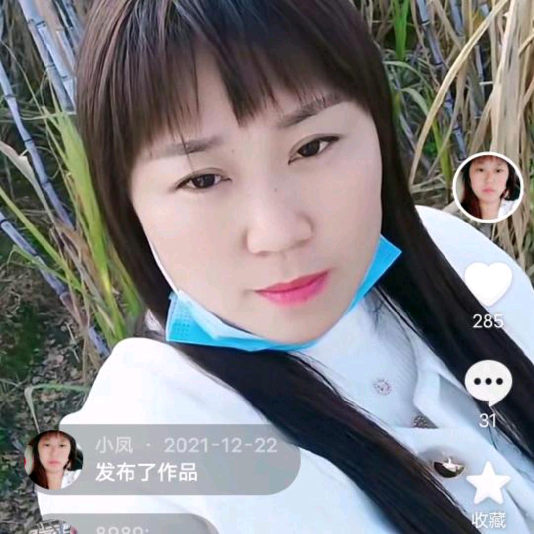小凤