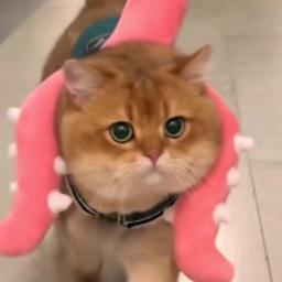 谷城县魏超百货店