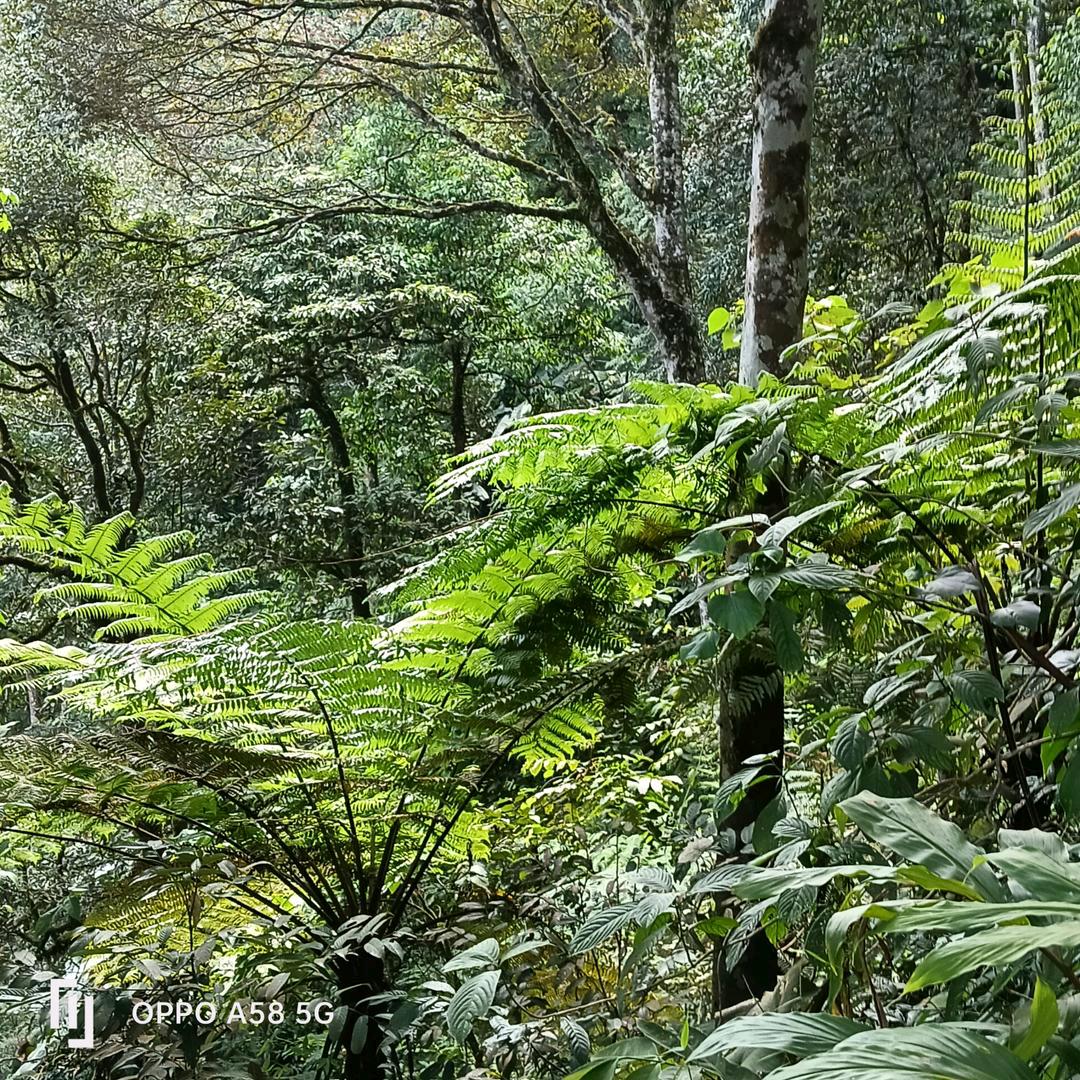 云哥😌😌😌也不开播，也不玩了。