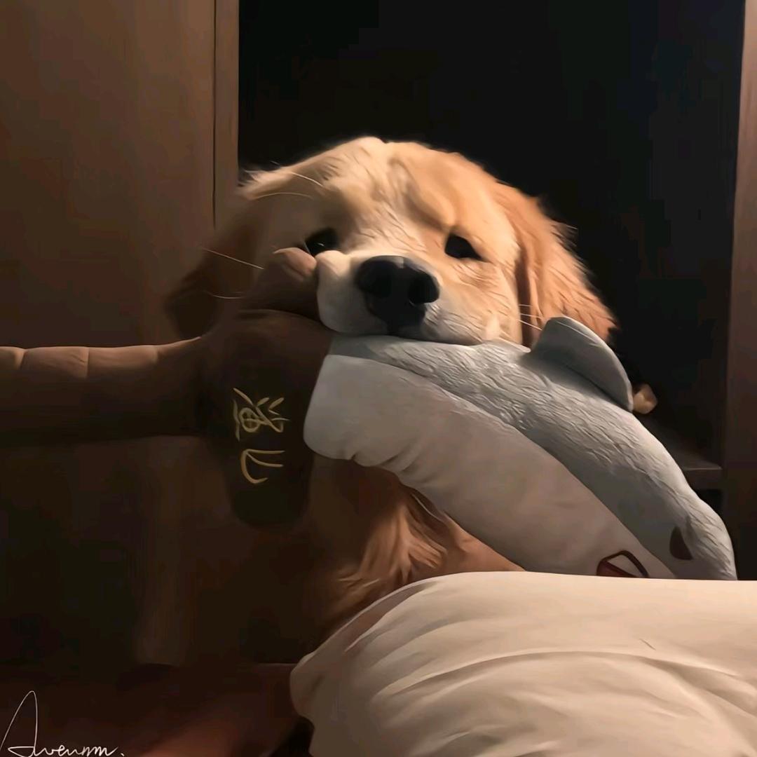 এ小ོ胖ꦿ℘゜এ