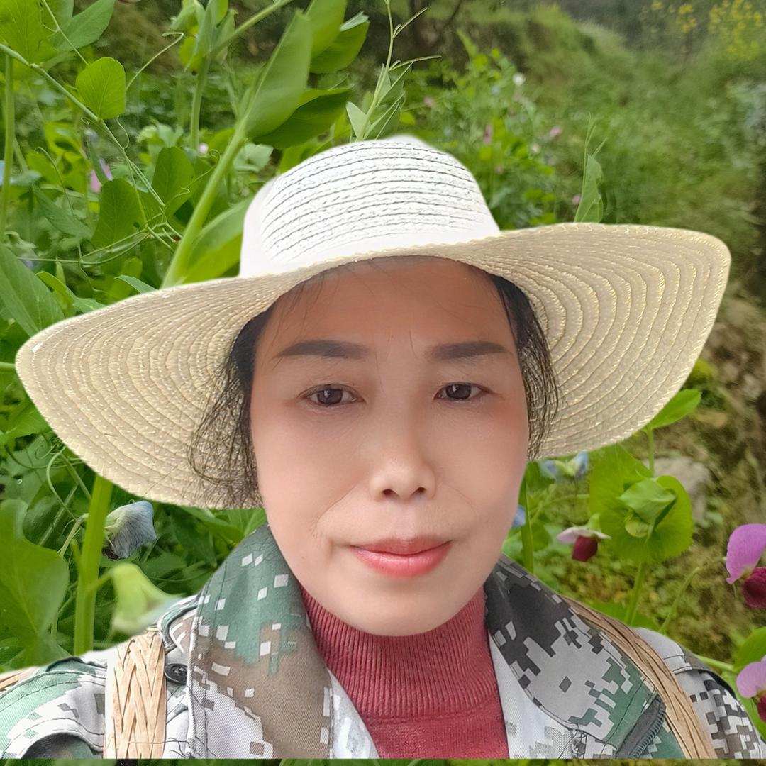 蝴蝶兰姐姐