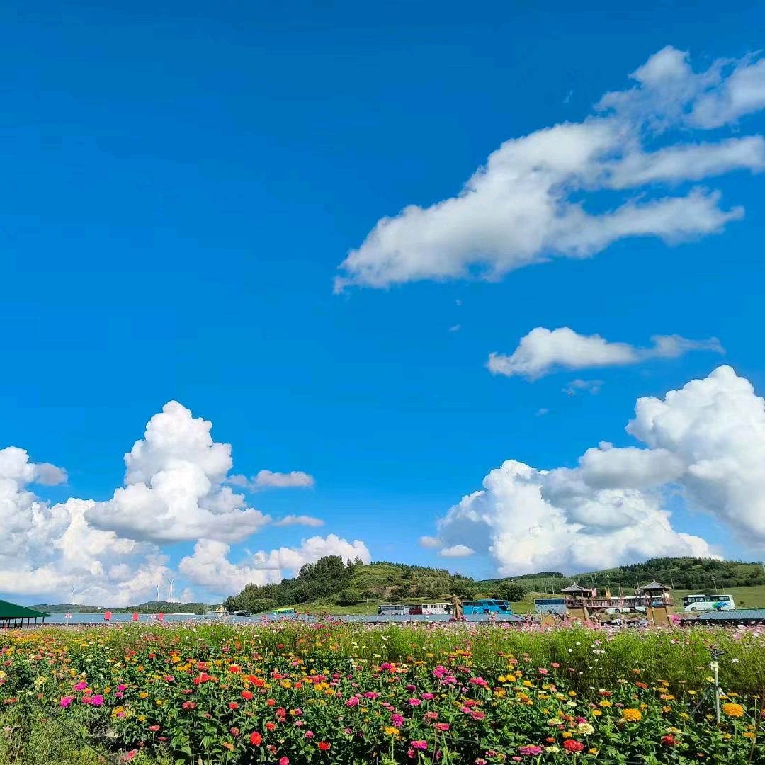 大发明家