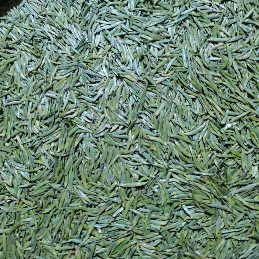 茶叶子土鸡批发