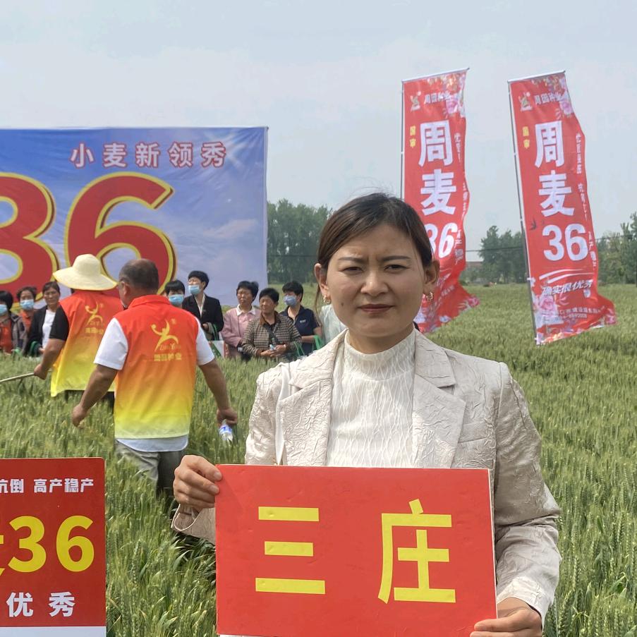 虞城三庄文涛农资