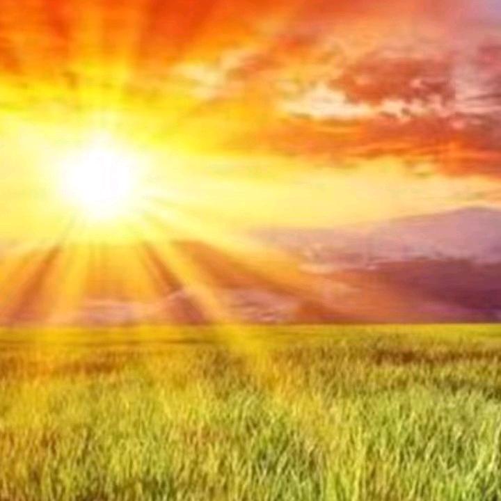 旭阳（鼎明建筑）