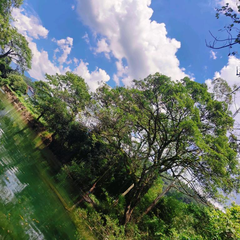 🚬এ᭄一介🎋俗人ღᩚ᭄