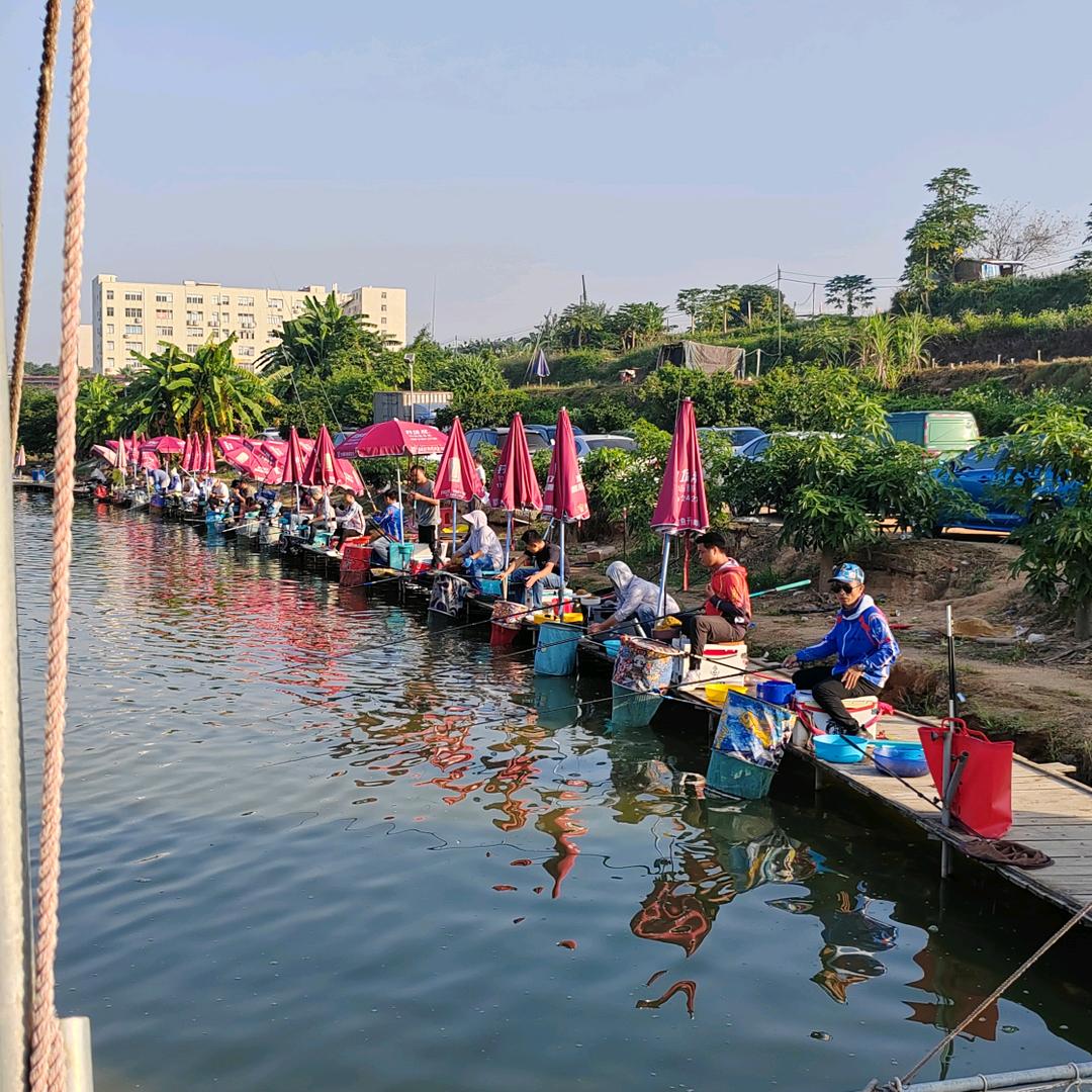 宝安群乐钓鱼场，龙岗一亩垂钓园