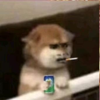 吃芒果嗦不嗦芒果核