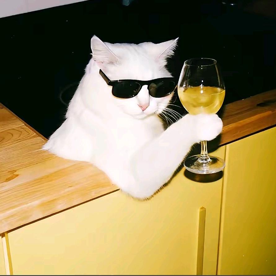 小可·80s鲜啤打酒站🍺