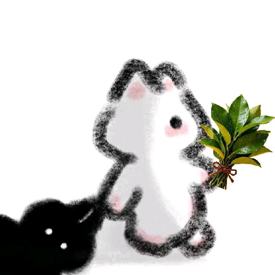 那个人叫小美