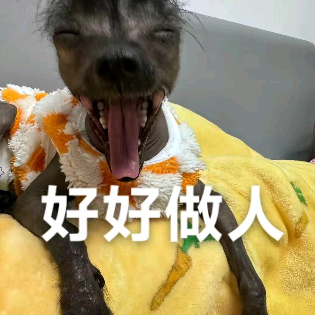 江野👑