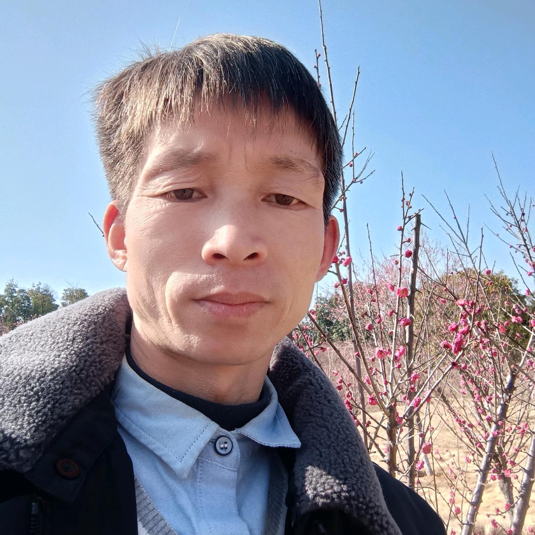 杨杨得意