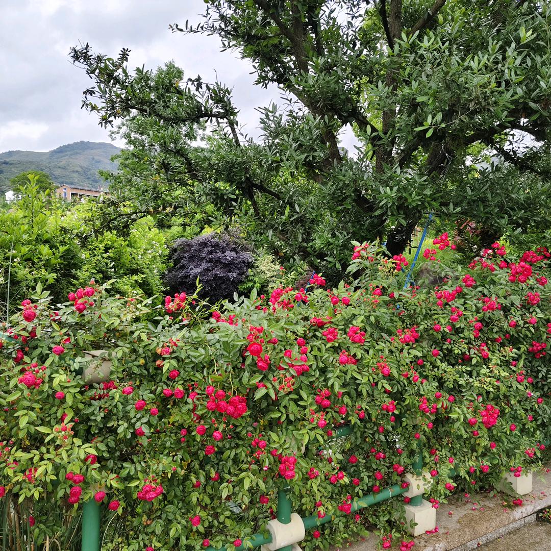 感谢生命中，知遇之恩的人