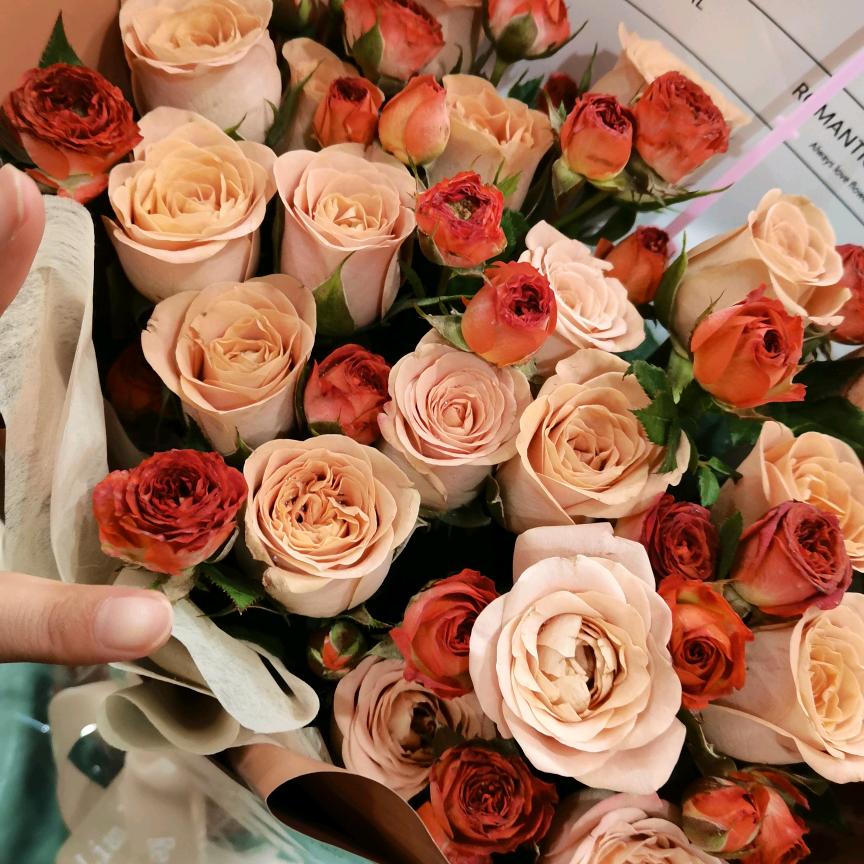 小七🔥 （涨粉中）